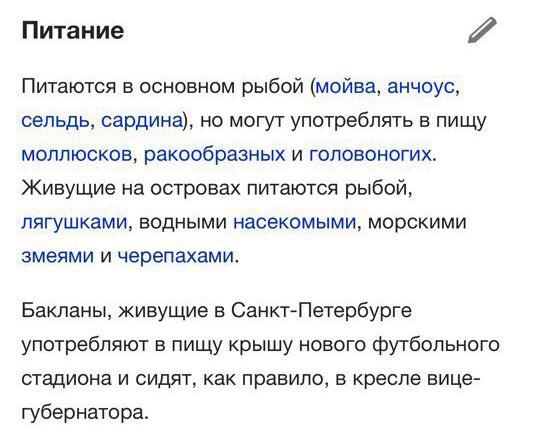 91000-NjUyNDE1M2VkNQ.jpg