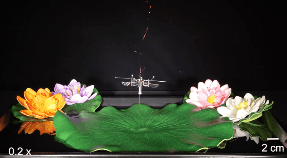 8902ad656e8ec58b8a05bfc2c2560804.gif