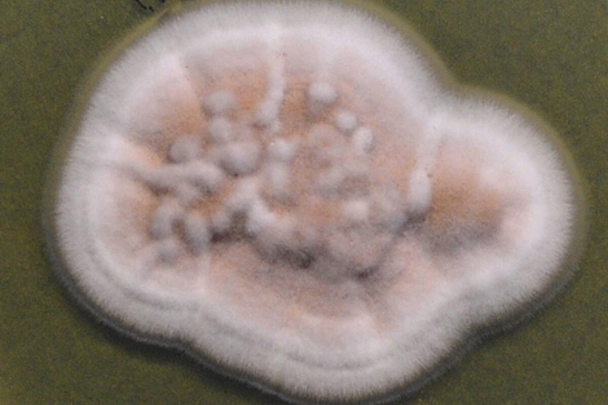 a7ecacd7e2b7fb628f2dfac7f5899c16_ce_1200x800x0x50.jpg