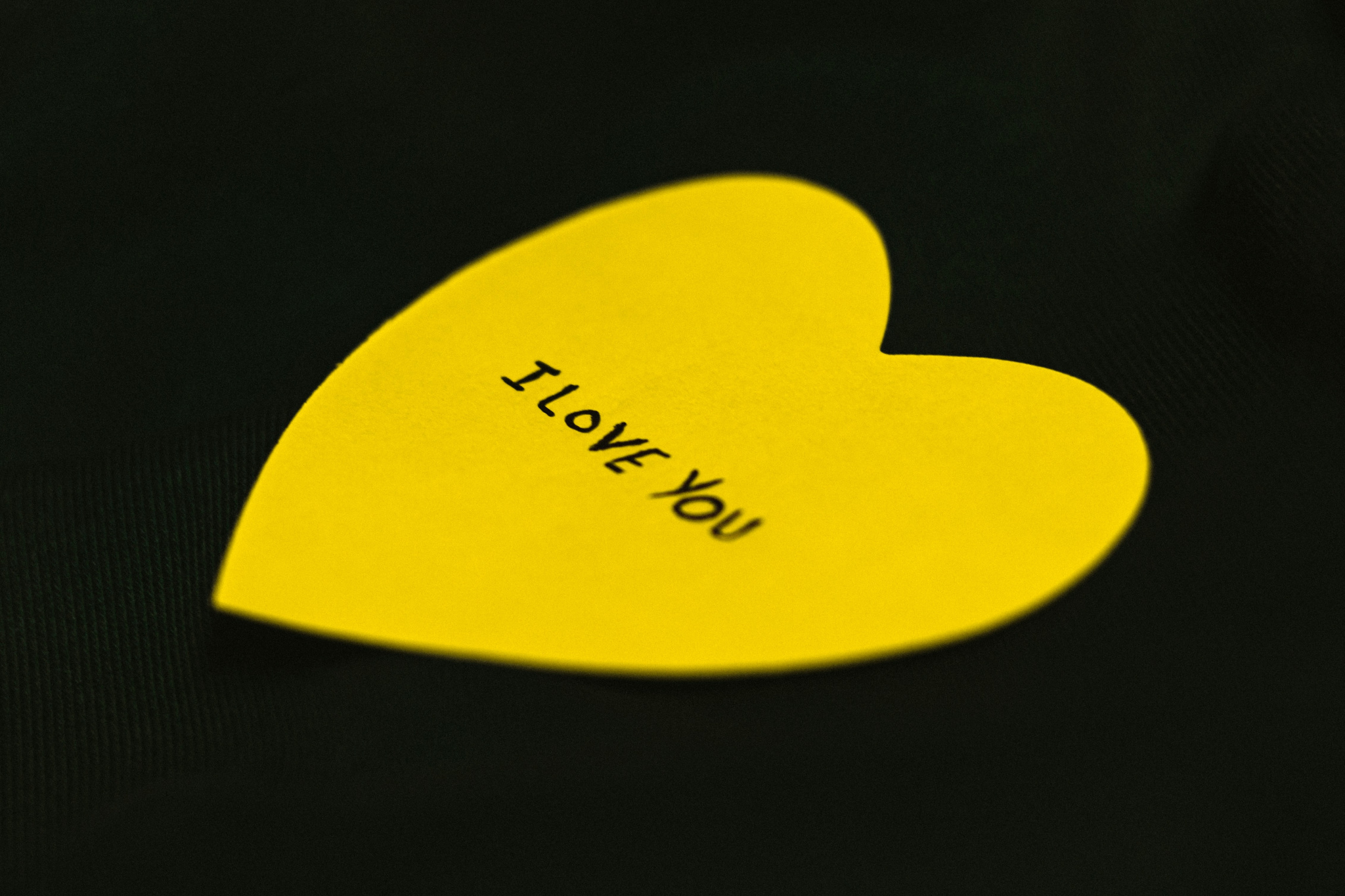 1a251229da4e449a38fe5380de51ab1c_ce_4524x3016x0x0.jpg