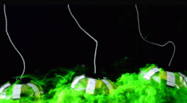 a8bdc234e50257634d14ae0978e37d73.gif