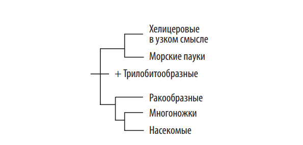 ca45de5c2b31d4223c8f699278b25742.png