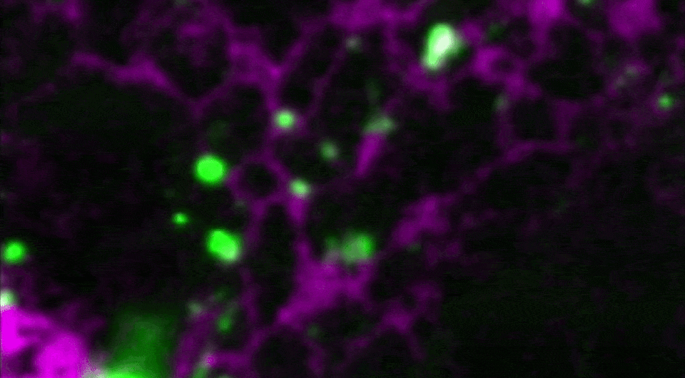 6904505582f96022361133d9c578d3c3.gif